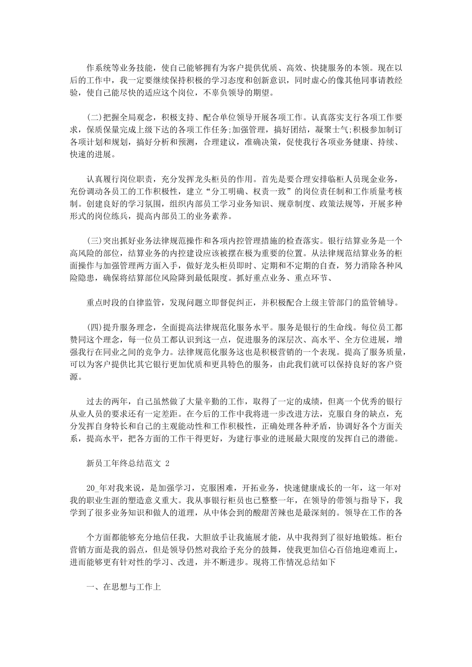 2024年新进员工年终总结例文_第2页