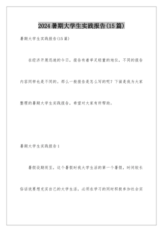 2024年暑期大学生实践报告