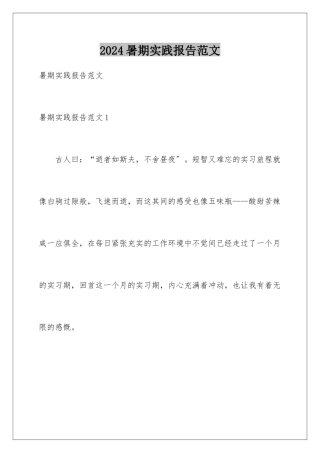 2024年暑期实践报告范文