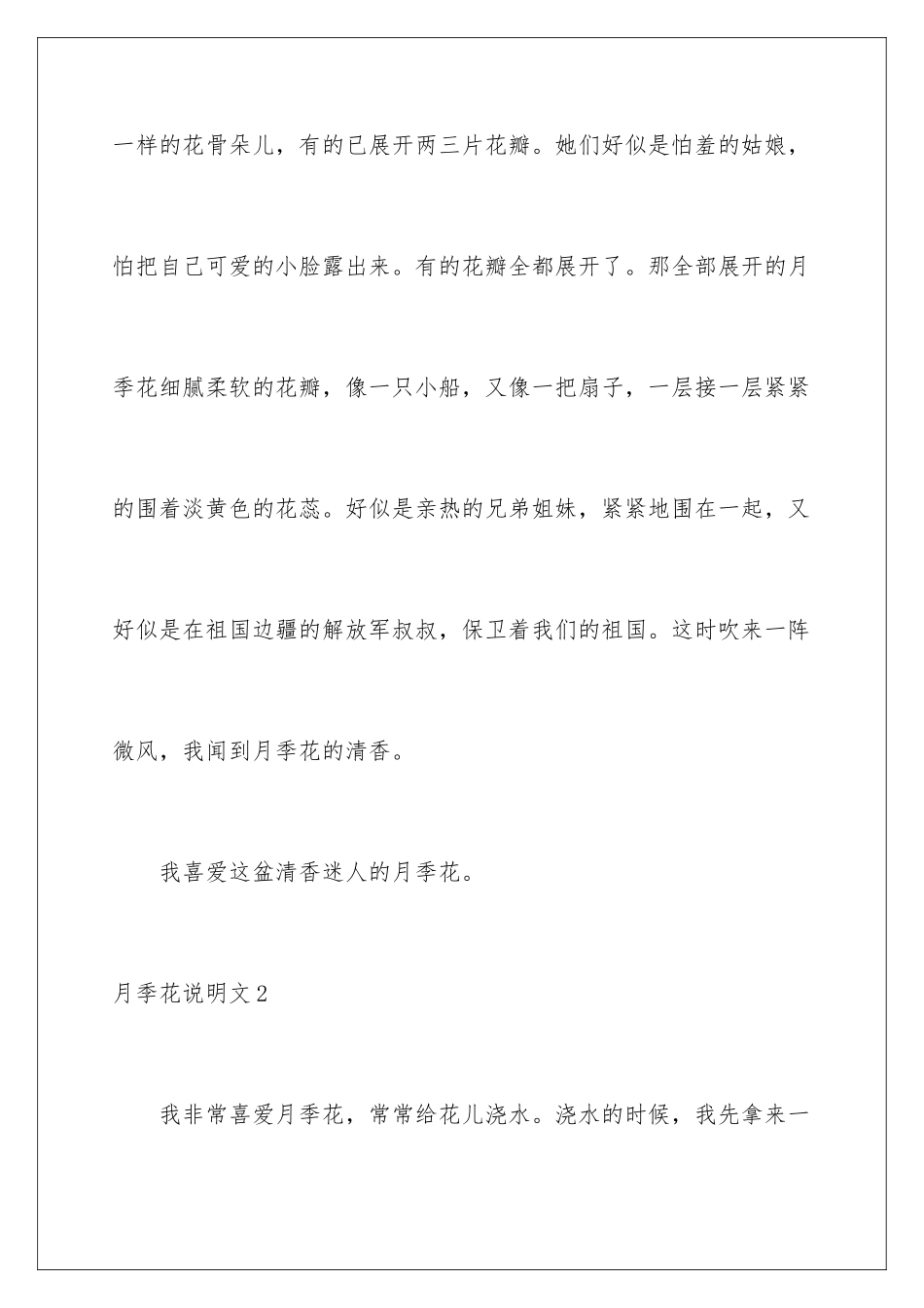 2024年月季花说明文_第3页