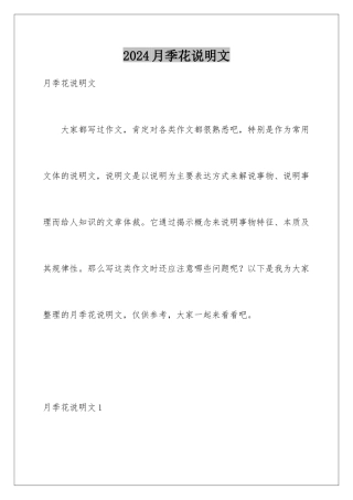 2024年月季花说明文