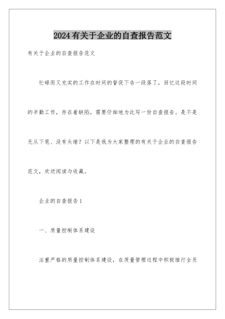 2024年有关于企业的自查报告范文