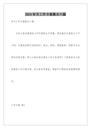 2024年有关工作方案集合六篇