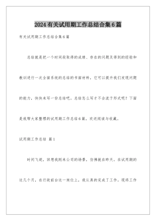 2024年有关试用期工作总结合集6篇