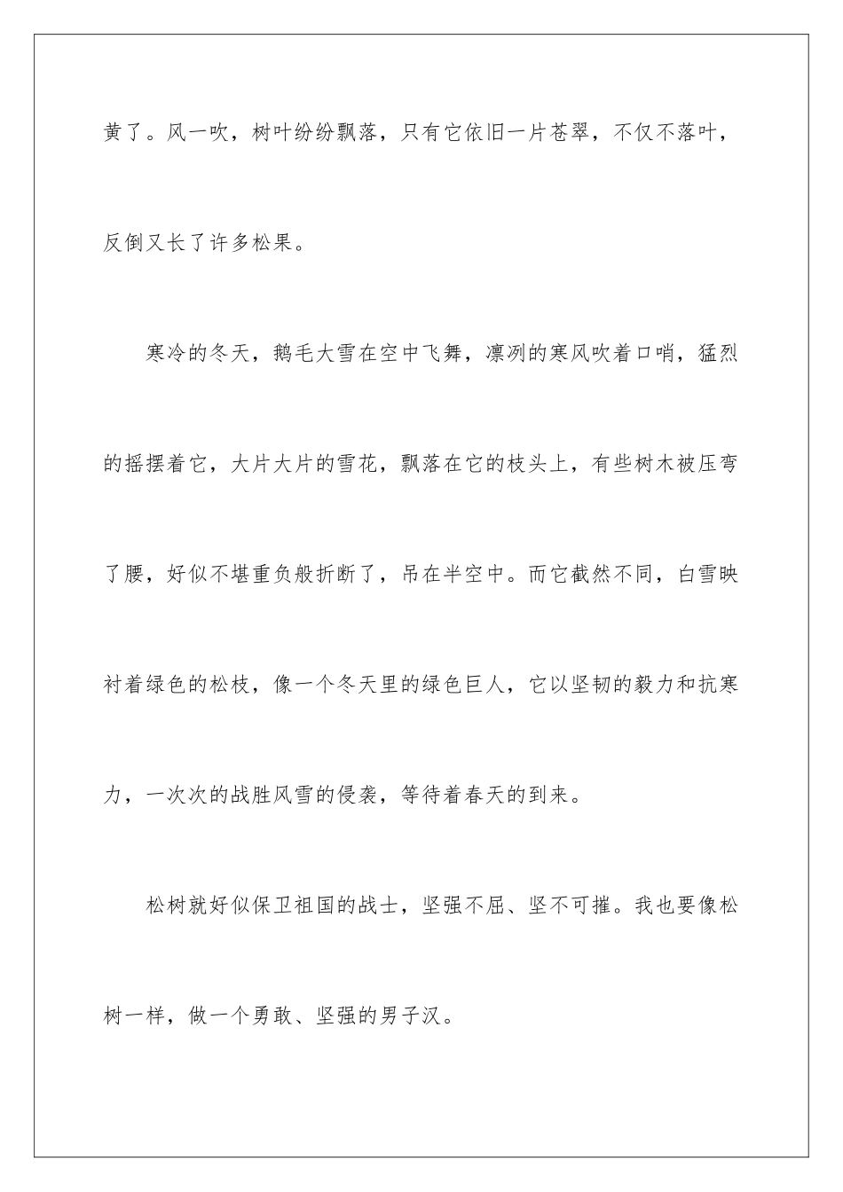 2024年松树初中作文_第3页