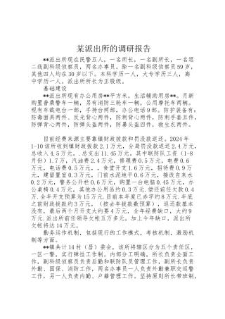 2024年某派出所的调研报告-