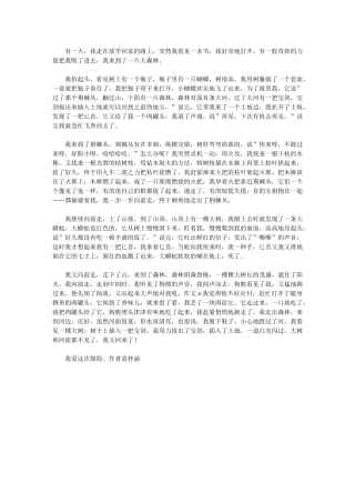 2024年森林历险记作文800字