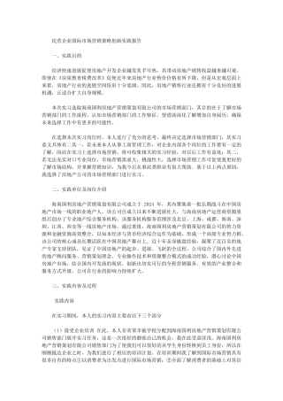 2024年民营企业国际市场营销策略创新