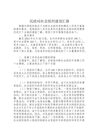 2024年民政局社会组织建设汇报-