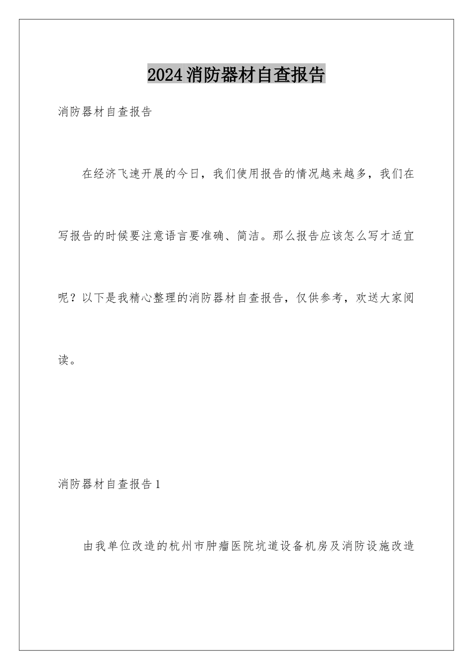 2024年消防器材自查报告_第1页