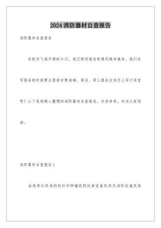 2024年消防器材自查报告