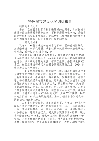 2024年特色城市建设状况调研报告-