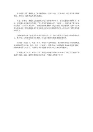 2024年电子技术实训总结