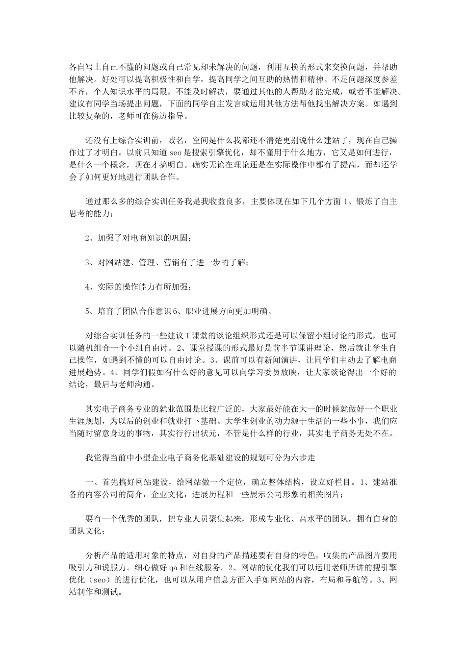 2024年电子商务综合实训总结_第2页