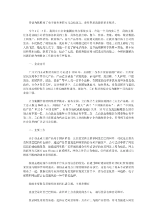 2024年电子商务暑假实习总结例文