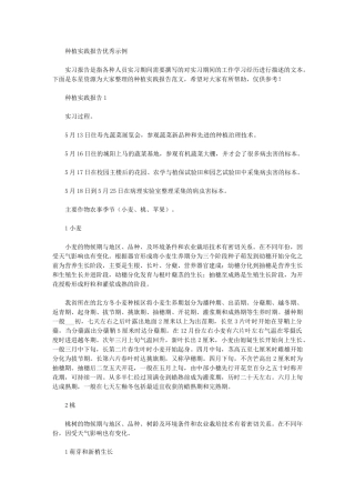 2024年种植实践报告优秀示例