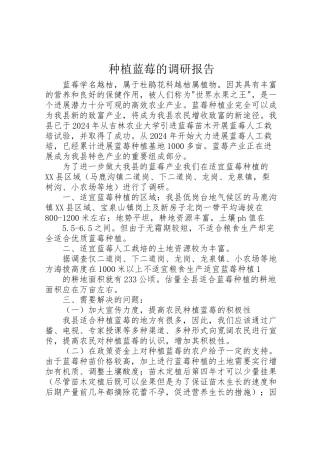 2024年种植蓝莓的调研报告-