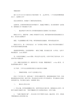 2024年程序员转正申请及总结归纳报告