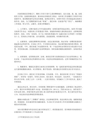 2024年税务稽查年终总结例文