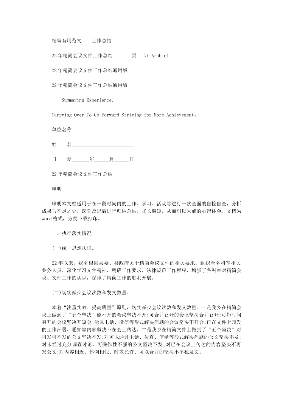 2024年精简会议文件工作总结通用版_第1页