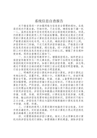 2024年系统信息自查报告-