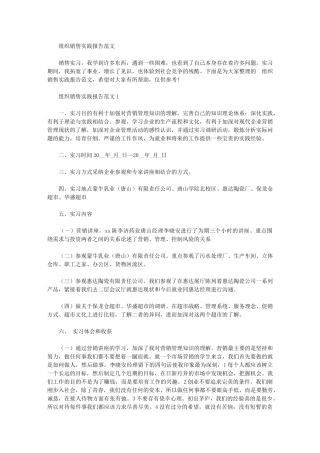 2024年组织销售实践报告范文范例