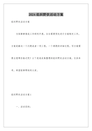 2024年组织野炊活动方案