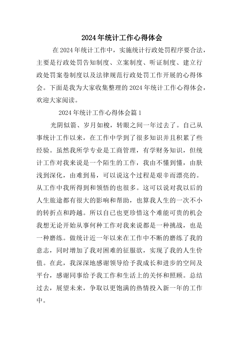 2024年统计工作心得体会_第1页