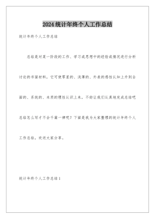 2024年统计年终个人工作总结