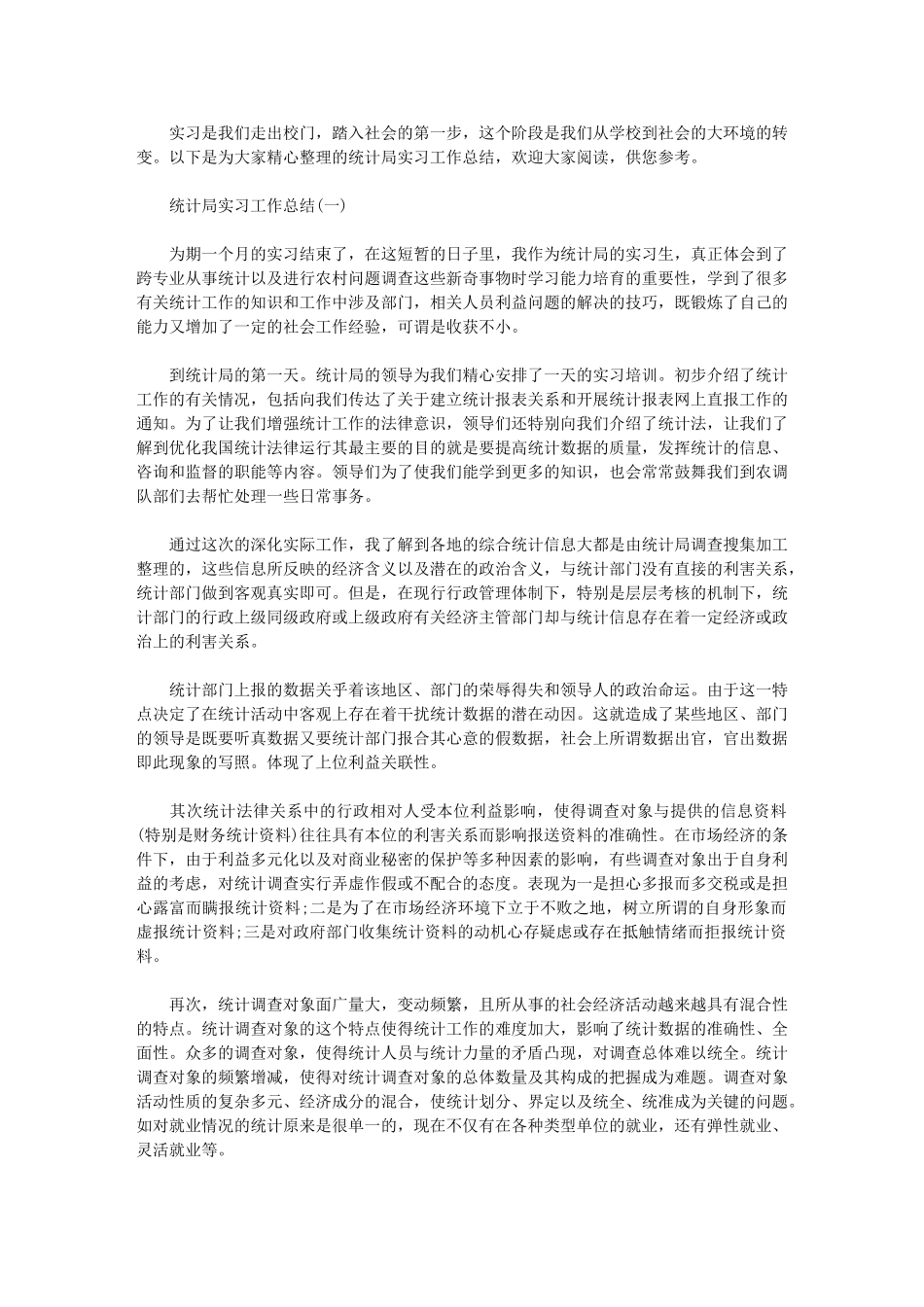 2024年统计局实习工作总结_第1页