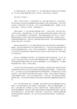 2024年统计局实习工作总结