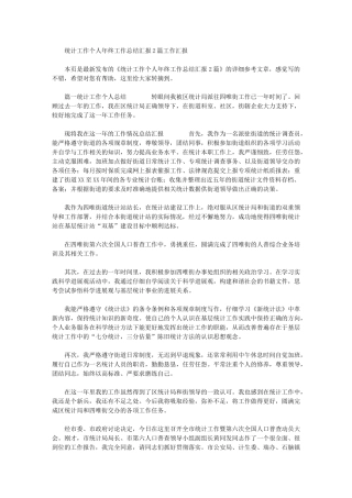 2024年统计工作个人年终工作总结汇报工作汇报