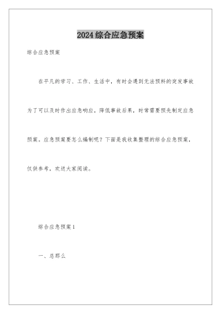 2024年综合应急预案