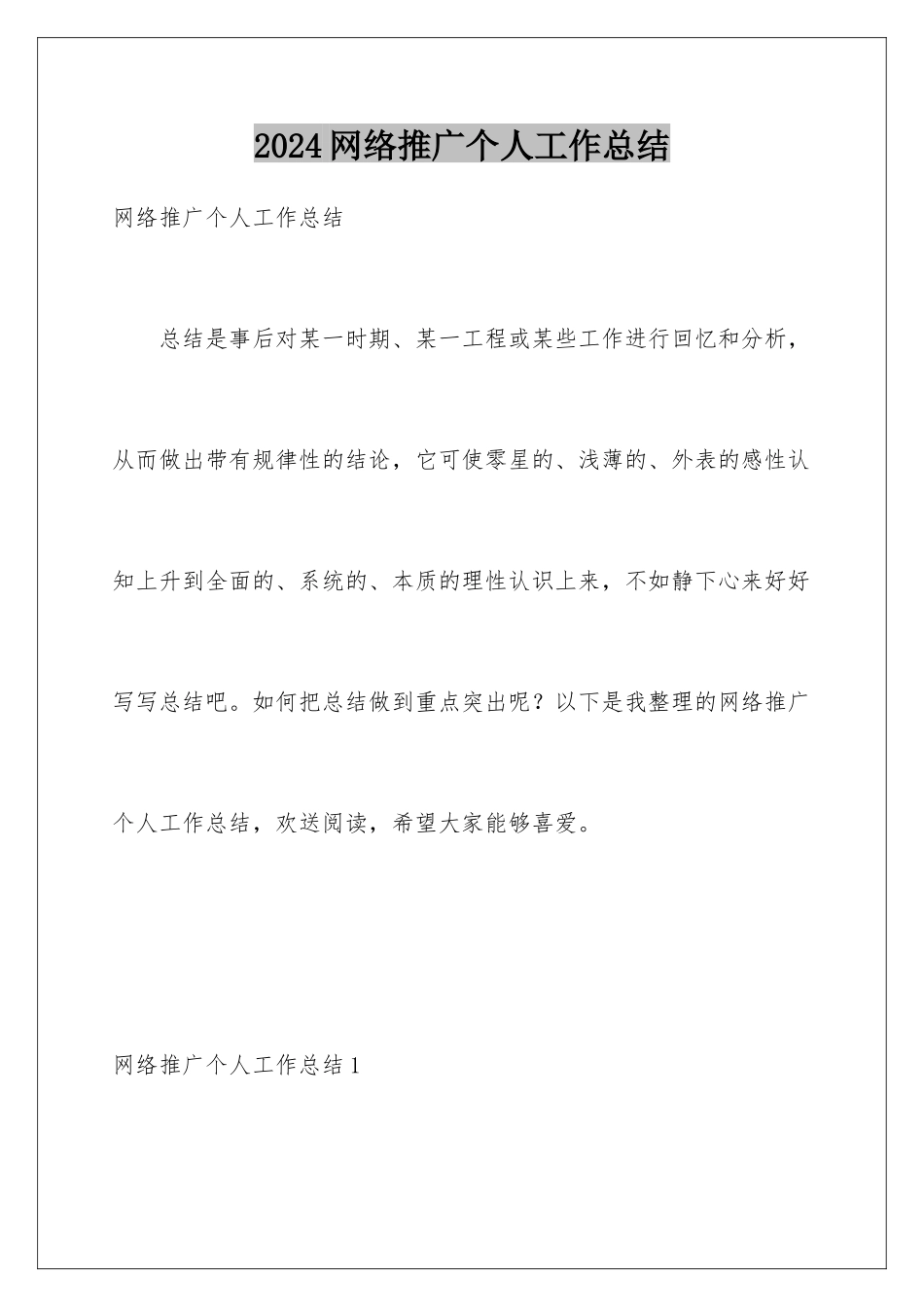 2024年网络推广个人工作总结_第1页