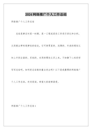 2024年网络推广个人工作总结