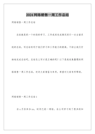 2024年网络销售一周工作总结