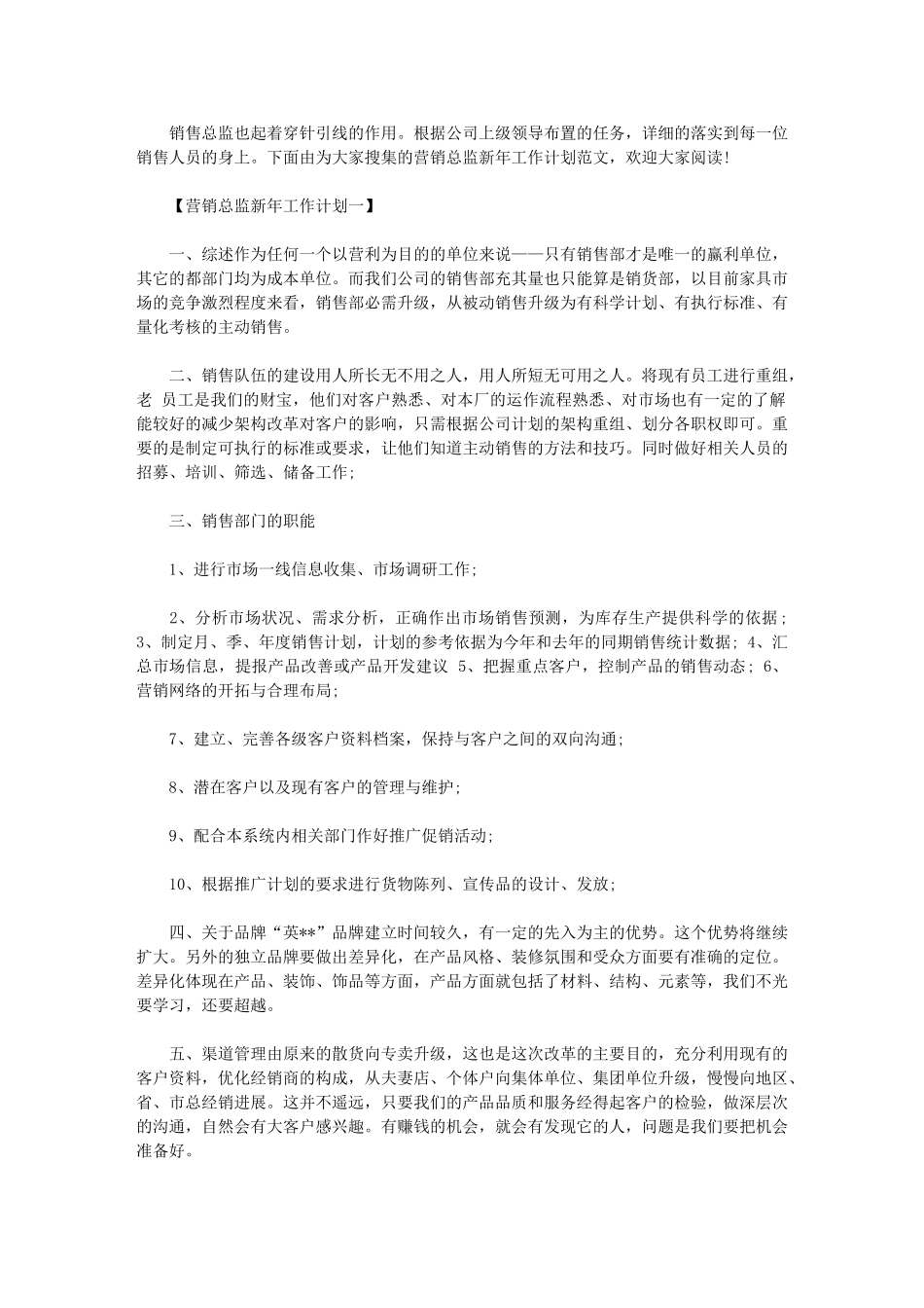 2024年营销总监工作目标-[营销总监新年工作计划]_第1页