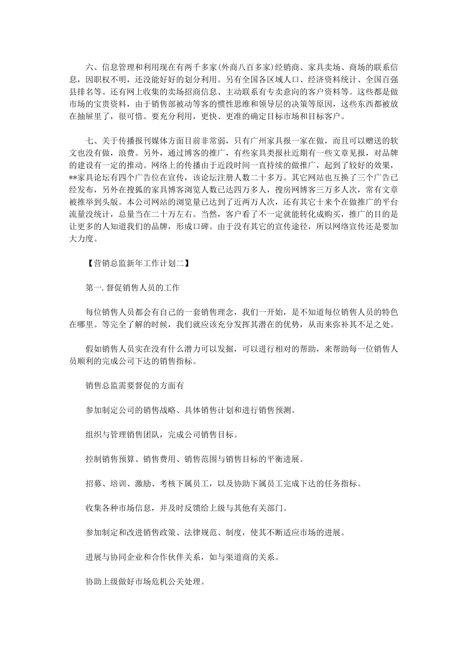 2024年营销总监工作目标-[营销总监新年工作计划]_第2页