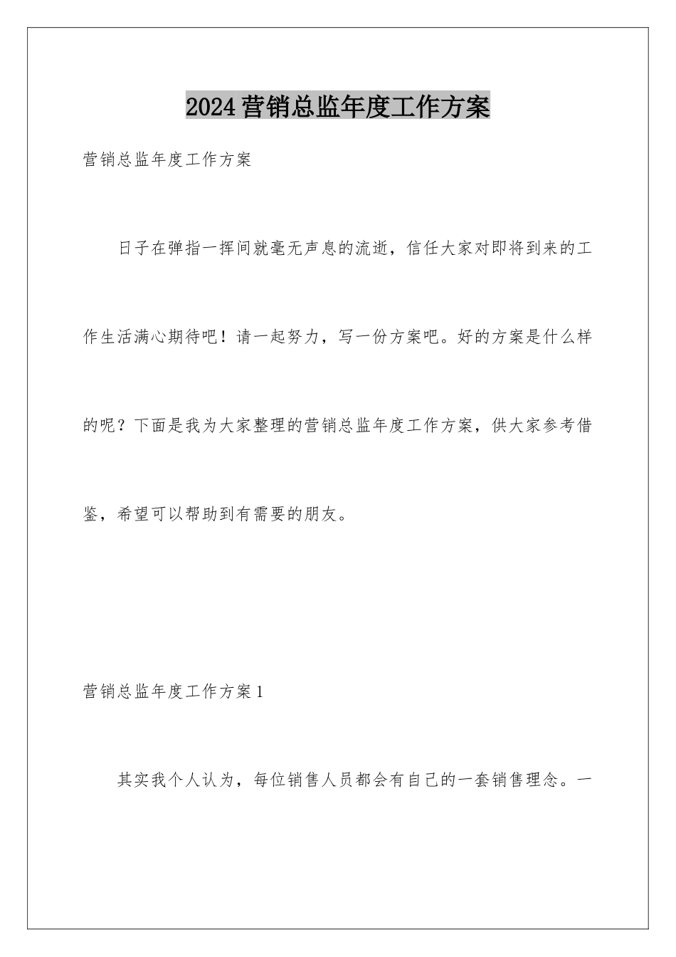 2024年营销总监年度工作计划_第1页