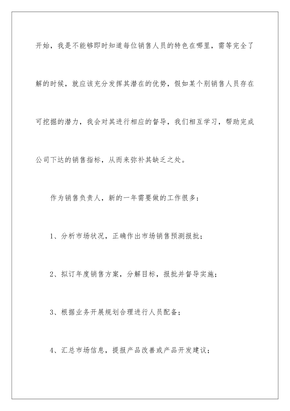 2024年营销总监年度工作计划_第2页