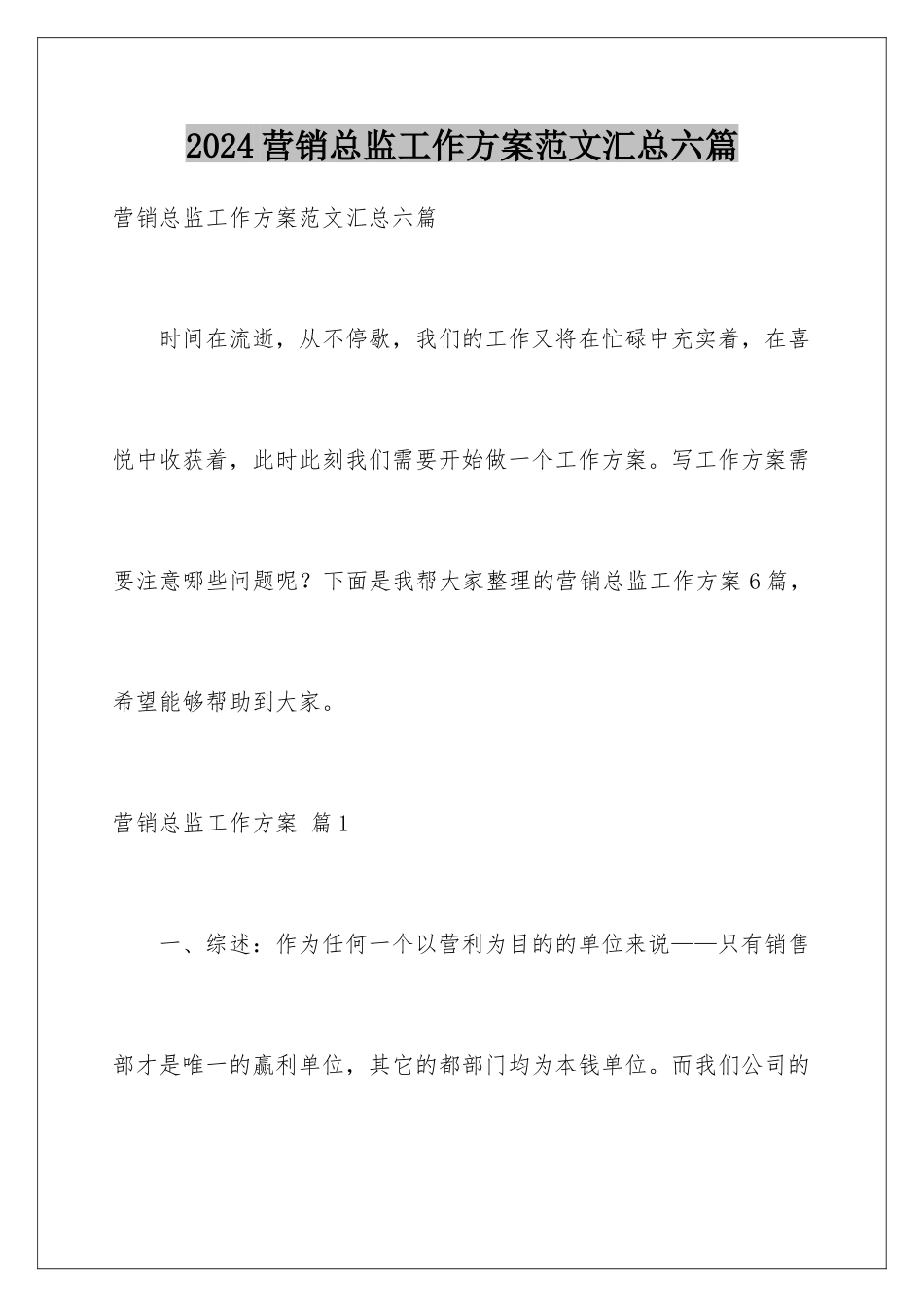 2024年营销总监工作计划范文汇总六篇_第1页