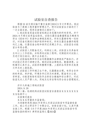 2024年试验室自查报告-
