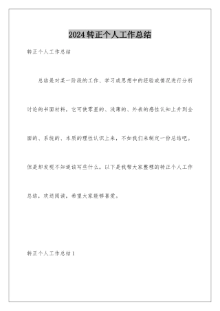 2024年转正个人工作总结