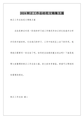 2024年转正工作总结范文锦集五篇