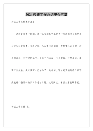 2024年转正工作总结集合五篇