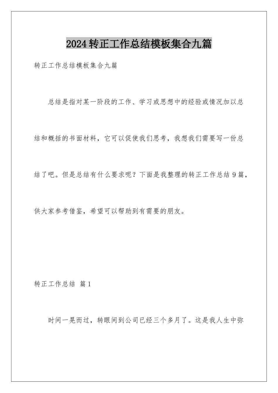 2024年转正工作总结集合九篇_第1页