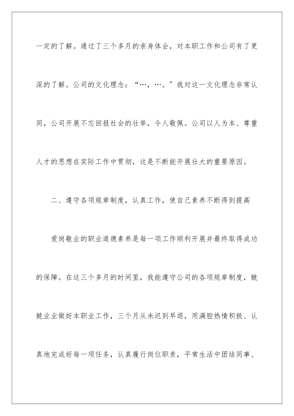 2024年转正工作总结集合九篇_第3页