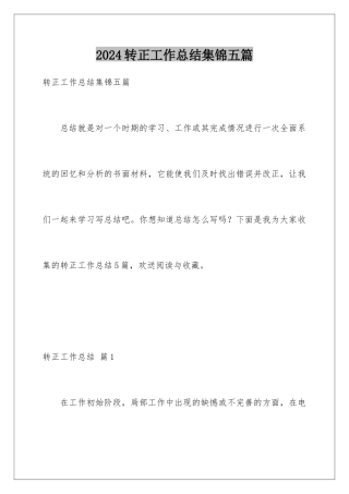 2024年转正工作总结集锦五篇