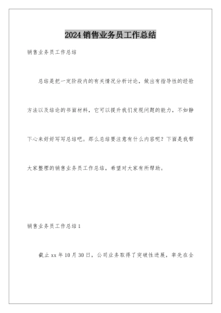 2024年销售业务员工作总结