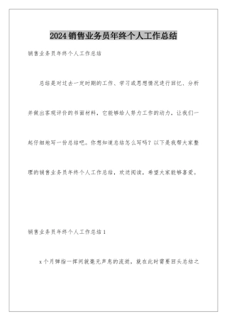 2024年销售业务员年终个人工作总结